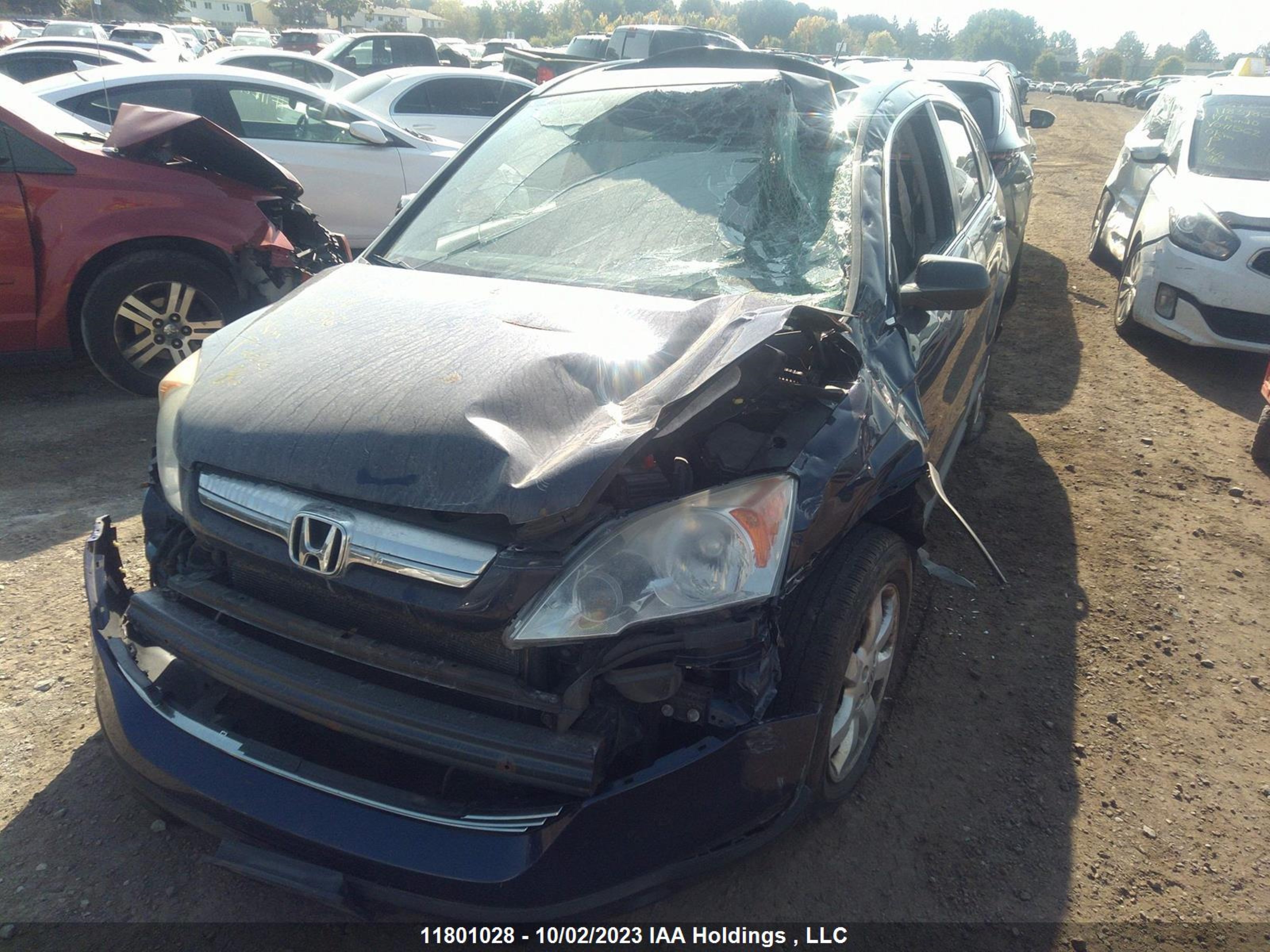 Photo 5 VIN: 5J6RE48727L814736 - HONDA CR-V 