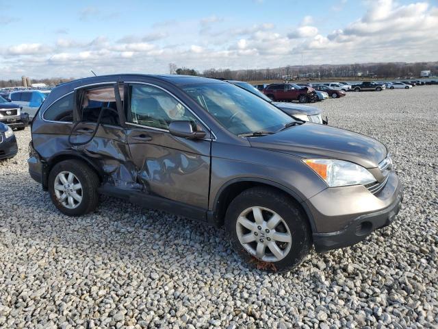 Photo 3 VIN: 5J6RE48729L031371 - HONDA CRV 