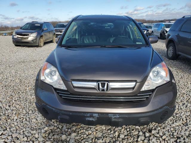 Photo 4 VIN: 5J6RE48729L031371 - HONDA CRV 