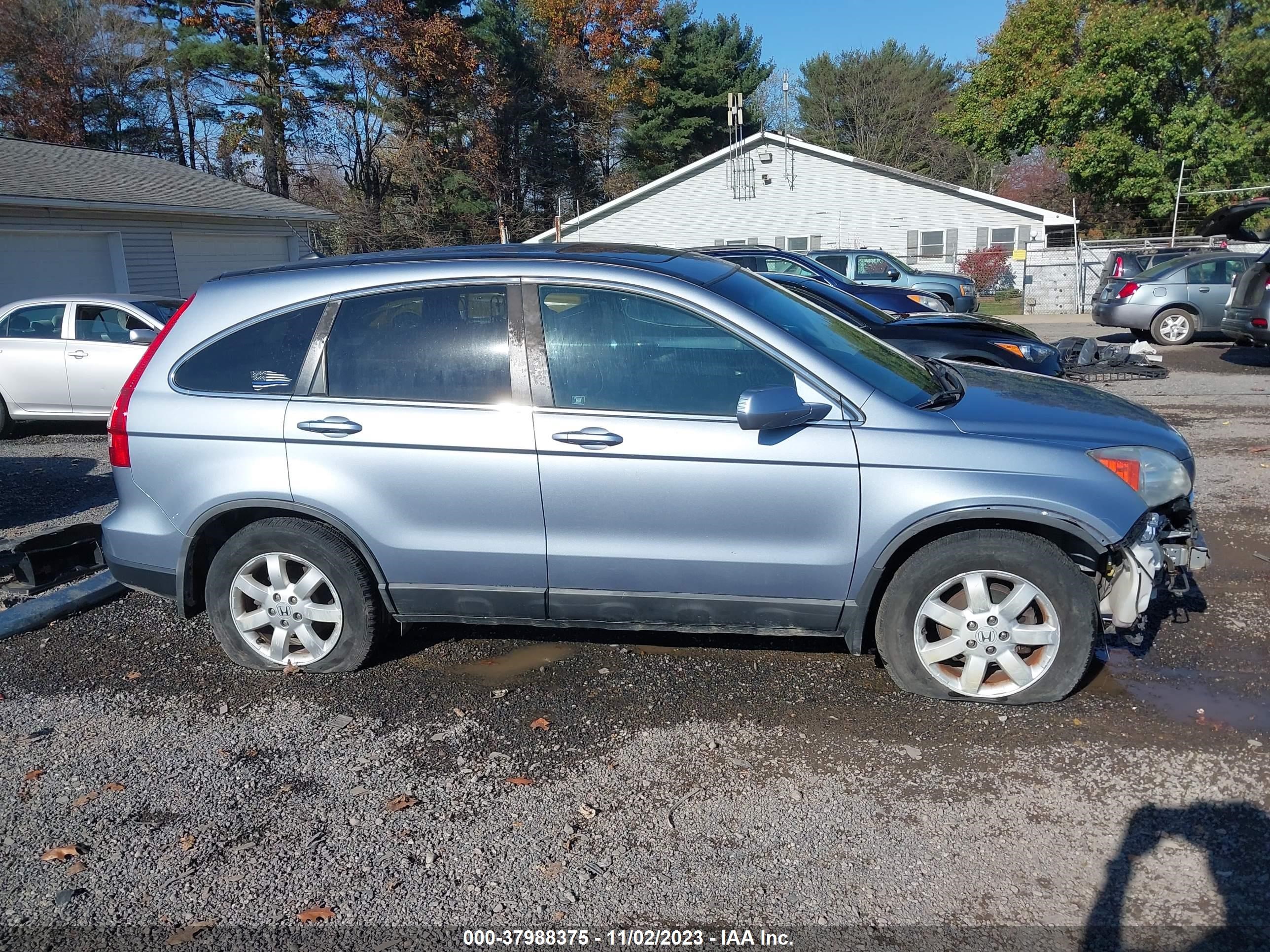 Photo 13 VIN: 5J6RE48739L049720 - HONDA CR-V 