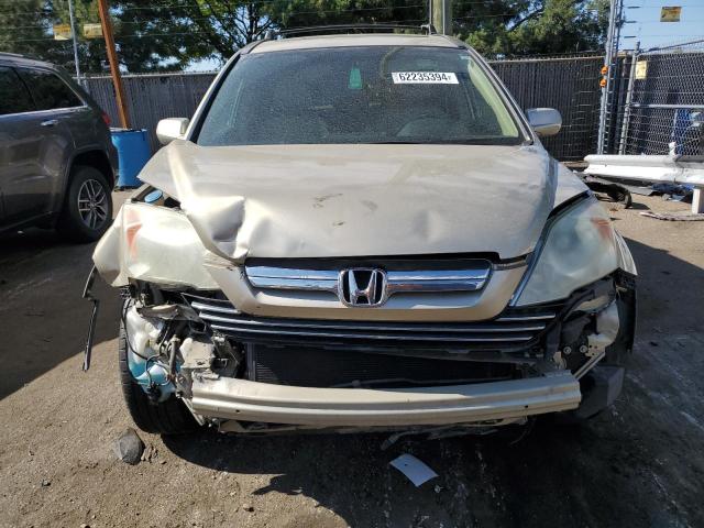 Photo 4 VIN: 5J6RE48749L063948 - HONDA CRV 