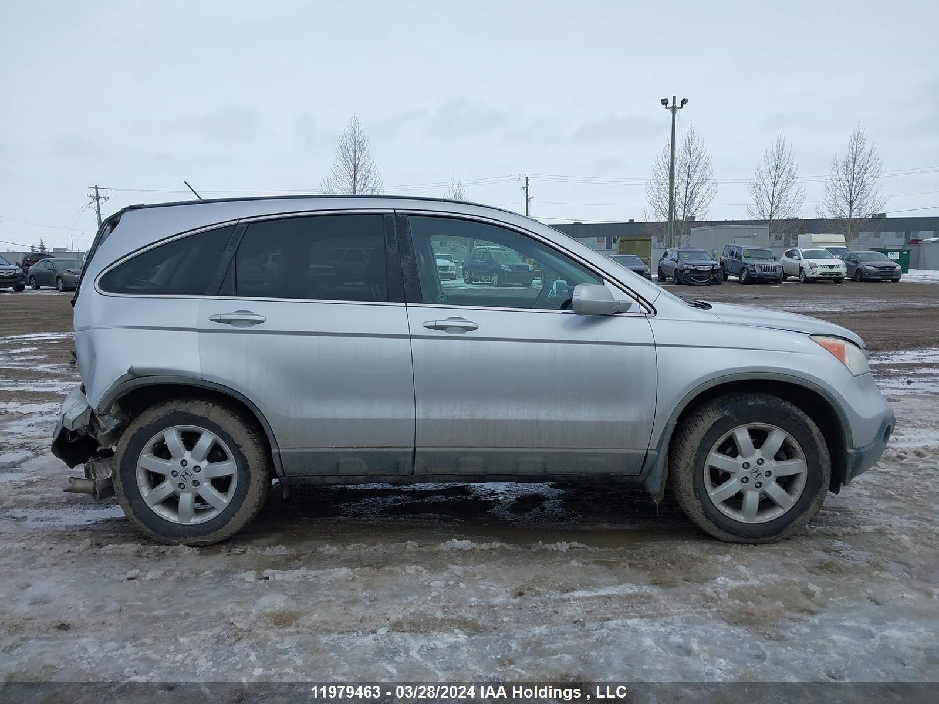 Photo 12 VIN: 5J6RE48759L802468 - HONDA CR-V 