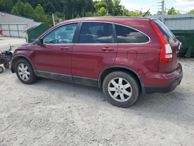 Photo 1 VIN: 5J6RE48798L049395 - HONDA CRV 