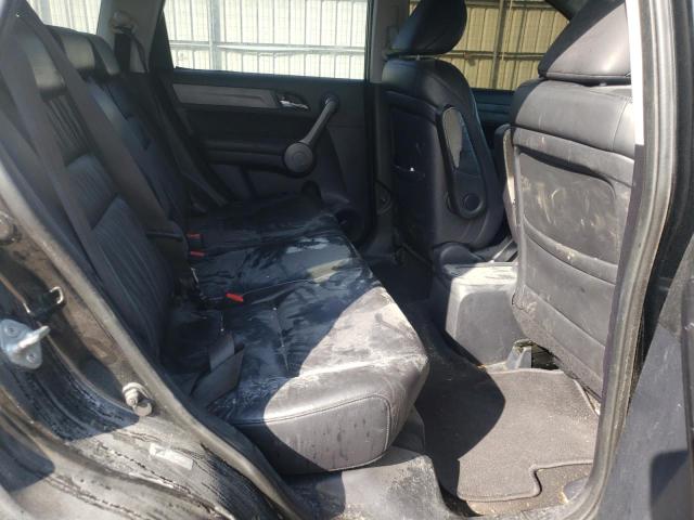 Photo 10 VIN: 5J6RE48799L008234 - HONDA CR-V EXL 