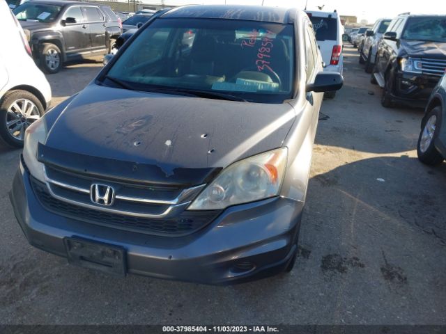 Photo 1 VIN: 5J6RE4H31AL032626 - HONDA CR-V 