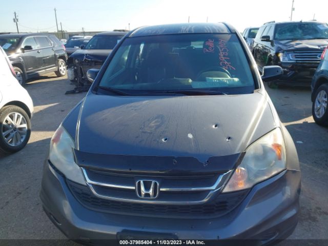 Photo 5 VIN: 5J6RE4H31AL032626 - HONDA CR-V 