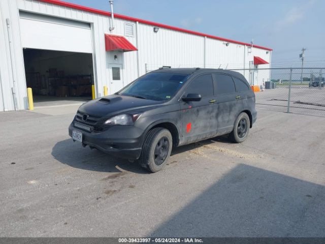 Photo 1 VIN: 5J6RE4H31AL096150 - HONDA CR-V LX 