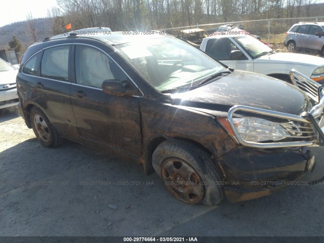 Photo 5 VIN: 5J6RE4H31AL098061 - HONDA CR-V 