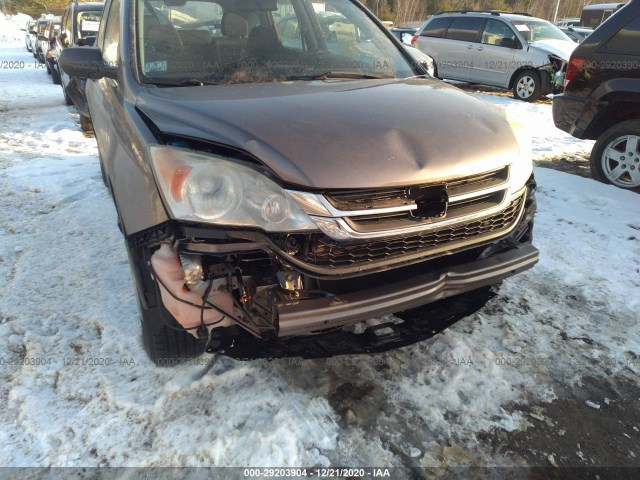 Photo 5 VIN: 5J6RE4H31AL100004 - HONDA CR-V 