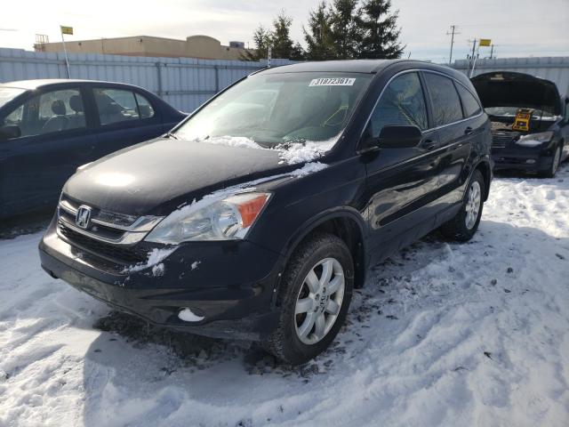 Photo 1 VIN: 5J6RE4H31AL812237 - HONDA CR-V LX 