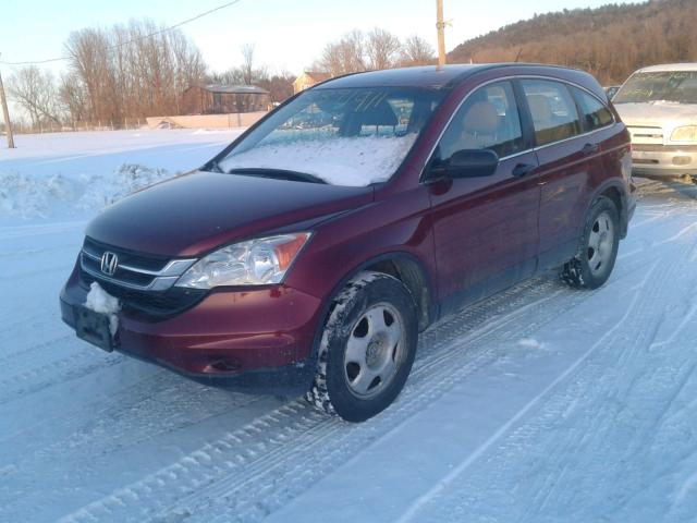 Photo 1 VIN: 5J6RE4H31BL011907 - HONDA CR-V LX 