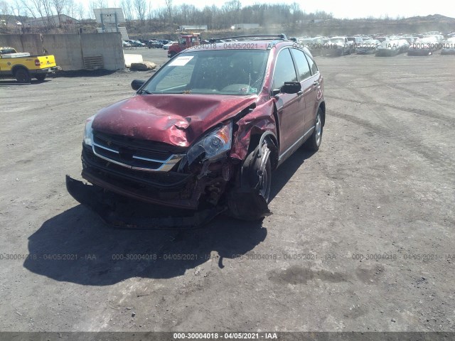 Photo 1 VIN: 5J6RE4H31BL096389 - HONDA CR-V 