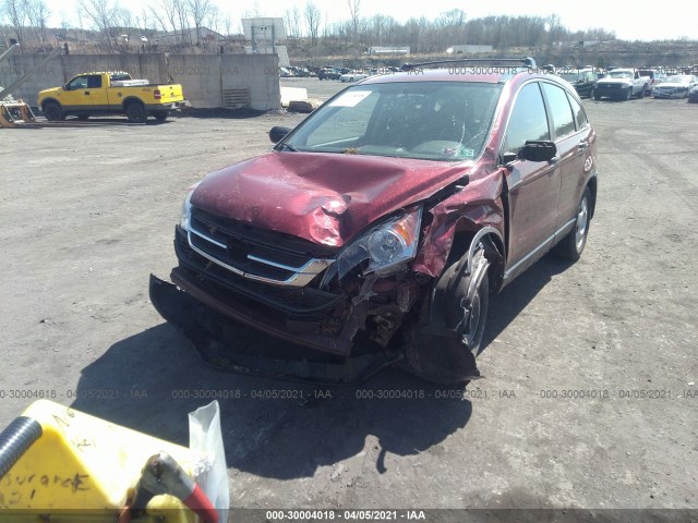 Photo 5 VIN: 5J6RE4H31BL096389 - HONDA CR-V 