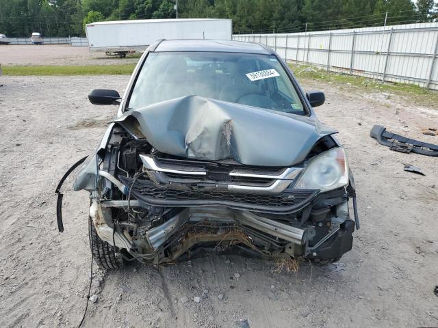 Photo 4 VIN: 5J6RE4H32AL059365 - HONDA CRV 