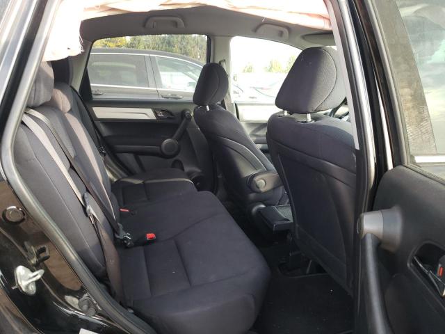 Photo 10 VIN: 5J6RE4H32AL815289 - HONDA CRV 