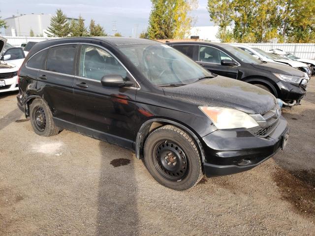 Photo 3 VIN: 5J6RE4H32AL815289 - HONDA CRV 