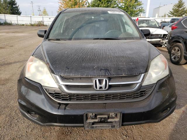 Photo 4 VIN: 5J6RE4H32AL815289 - HONDA CRV 