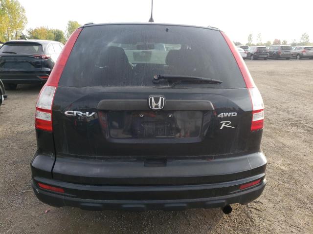 Photo 5 VIN: 5J6RE4H32AL815289 - HONDA CRV 