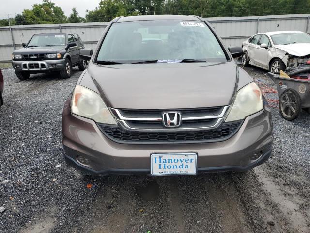 Photo 4 VIN: 5J6RE4H33AL083870 - HONDA CRV 