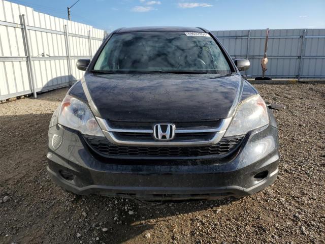 Photo 4 VIN: 5J6RE4H33AL813728 - HONDA CR-V LX 