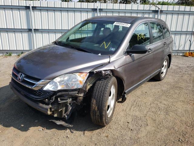 Photo 1 VIN: 5J6RE4H33BL101642 - HONDA CR-V LX 