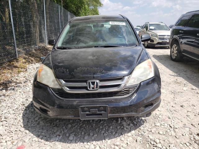 Photo 4 VIN: 5J6RE4H34AL068374 - HONDA CRV 