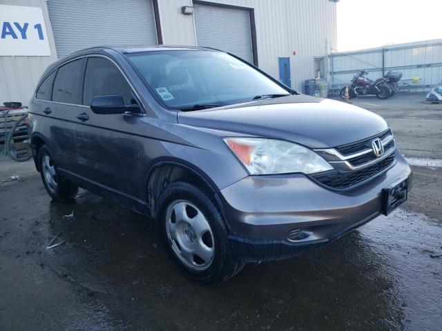 Photo 3 VIN: 5J6RE4H34AL093338 - HONDA CRV 