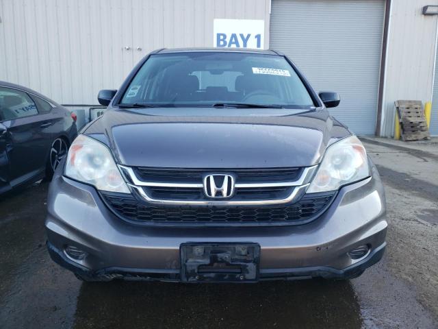 Photo 4 VIN: 5J6RE4H34AL093338 - HONDA CRV 