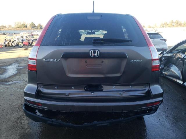 Photo 5 VIN: 5J6RE4H34AL093338 - HONDA CRV 