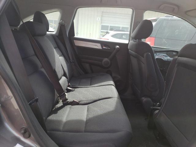 Photo 10 VIN: 5J6RE4H37AL052640 - HONDA CRV 