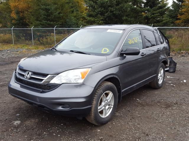 Photo 1 VIN: 5J6RE4H37BL824331 - HONDA CR-V LX 