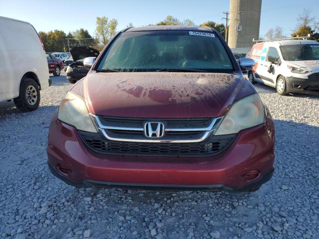 Photo 4 VIN: 5J6RE4H38AL004290 - HONDA CR-V LX 