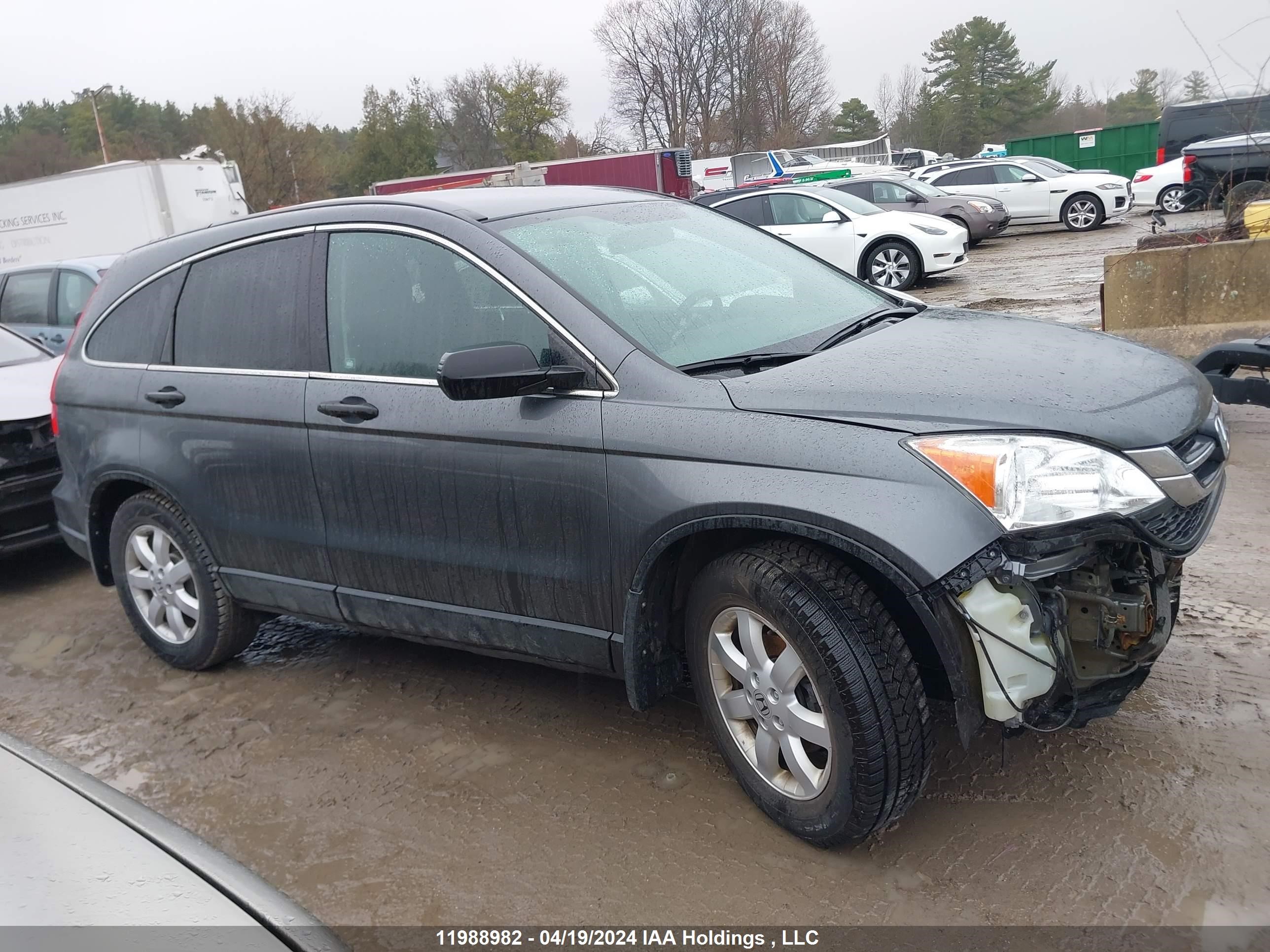 Photo 13 VIN: 5J6RE4H38BL823818 - HONDA CR-V 