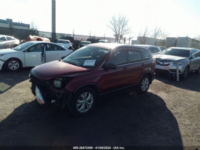 Photo 1 VIN: 5J6RE4H39BL096608 - HONDA CR-V 