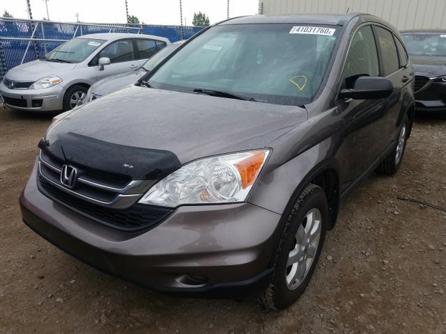 Photo 1 VIN: 5J6RE4H39BL814450 - HONDA CR-V LX 