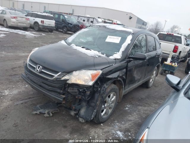 Photo 1 VIN: 5J6RE4H3XAL809014 - HONDA CR-V 