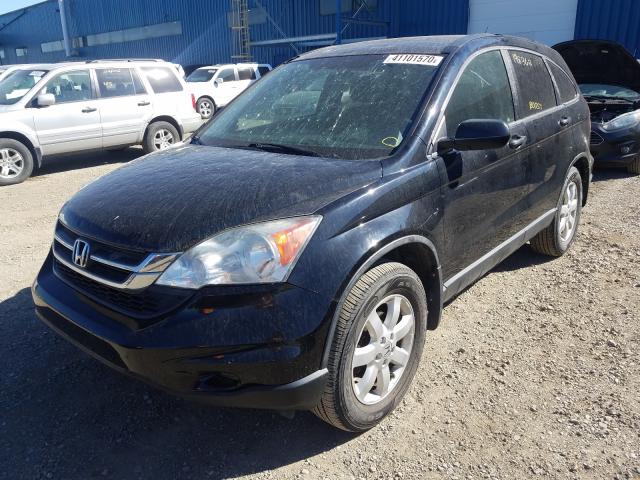 Photo 1 VIN: 5J6RE4H3XBL808852 - HONDA CR-V LX 