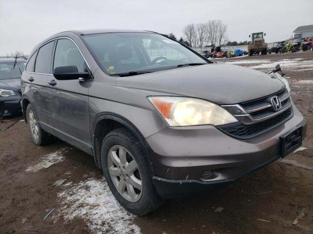 Photo 3 VIN: 5J6RE4H40BL097879 - HONDA CR-V SE 