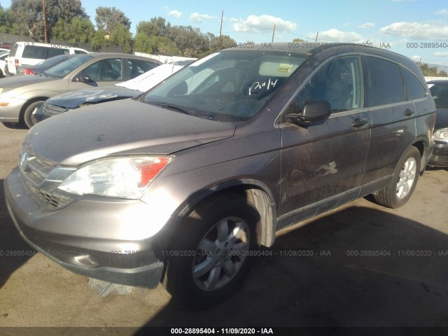 Photo 1 VIN: 5J6RE4H41BL112115 - HONDA CR-V 