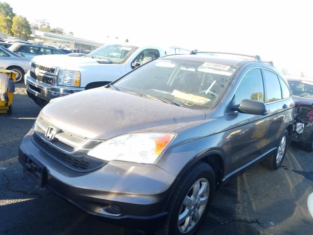 Photo 1 VIN: 5J6RE4H44BL076159 - HONDA CR-V SE 