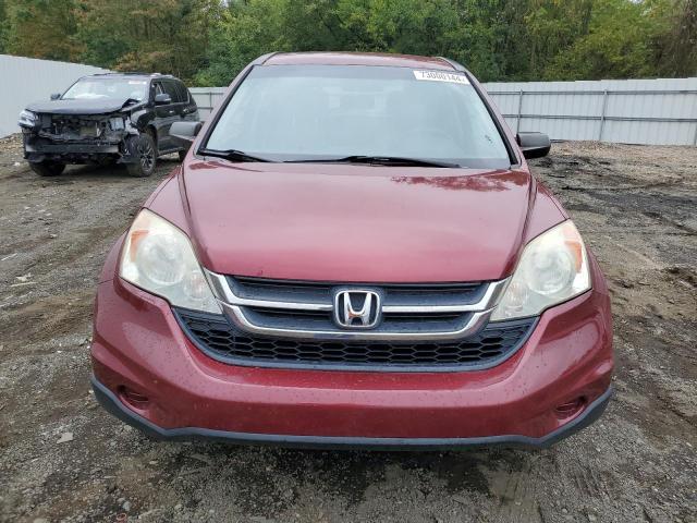 Photo 4 VIN: 5J6RE4H45BL123506 - HONDA CR-V SE 