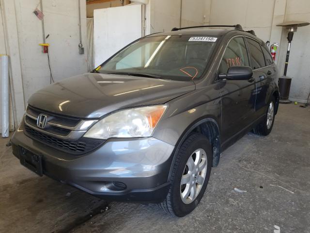 Photo 1 VIN: 5J6RE4H46BL021146 - HONDA CR-V SE 