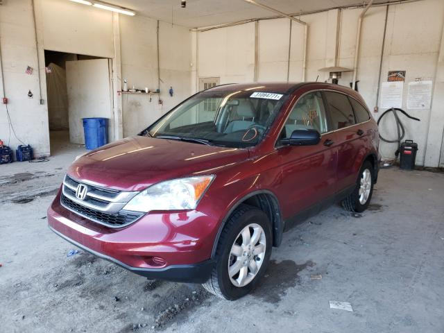 Photo 1 VIN: 5J6RE4H46BL045687 - HONDA CR-V SE 