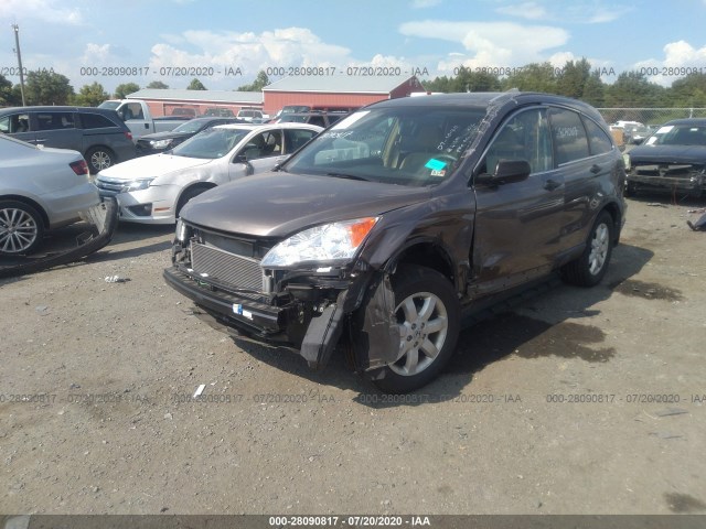 Photo 5 VIN: 5J6RE4H47BL079976 - HONDA CR-V 