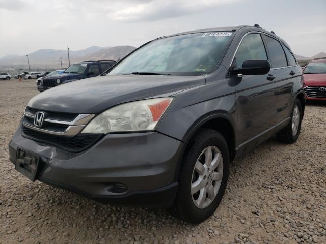 Photo 1 VIN: 5J6RE4H49BL040676 - HONDA CR-V SE 