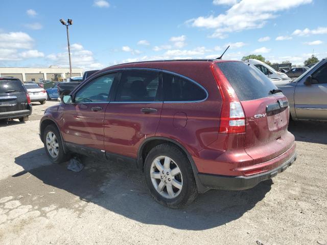 Photo 1 VIN: 5J6RE4H49BL122956 - HONDA CR-V SE 