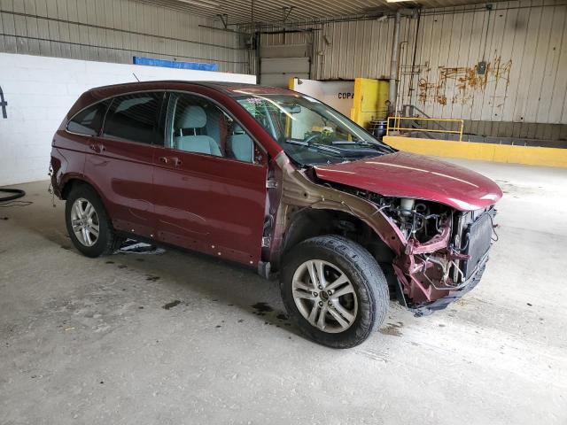 Photo 3 VIN: 5J6RE4H50AL053596 - HONDA CRV 