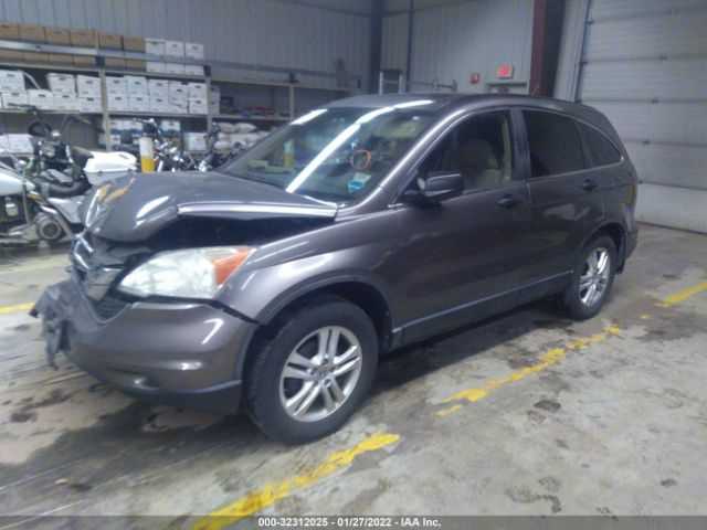 Photo 1 VIN: 5J6RE4H50AL054750 - HONDA CR-V 