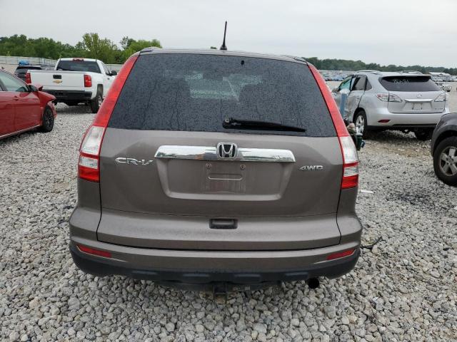 Photo 5 VIN: 5J6RE4H50AL076635 - HONDA CRV 