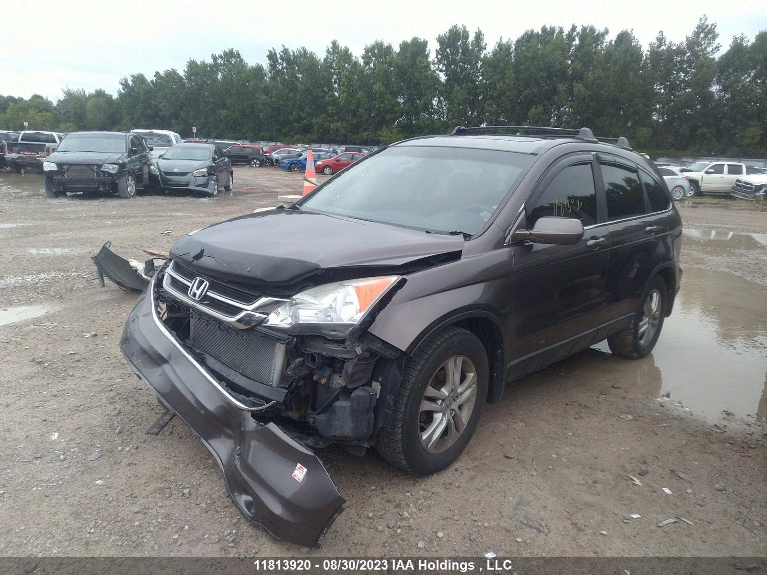 Photo 1 VIN: 5J6RE4H50BL801071 - HONDA CR-V 